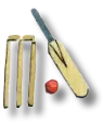 CRICKET CLUB
